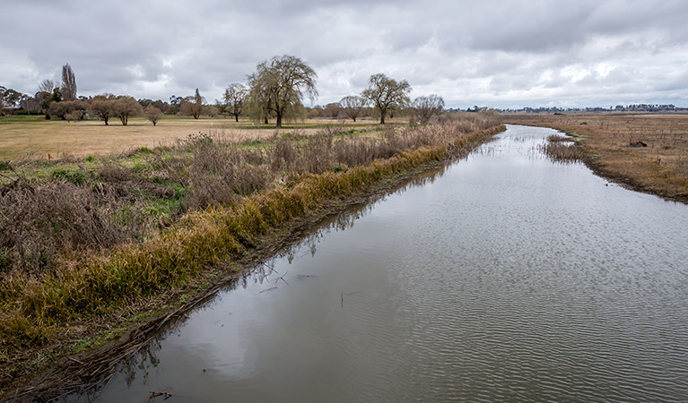Wetlands, Mother of Ducks Lagoon Nature Reserve. Photo: John Spencer