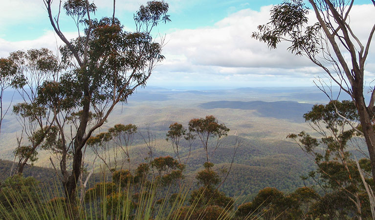 Views from Mount Imlay Summit walking track, Mount Imlay National Park. Photo: David Costello