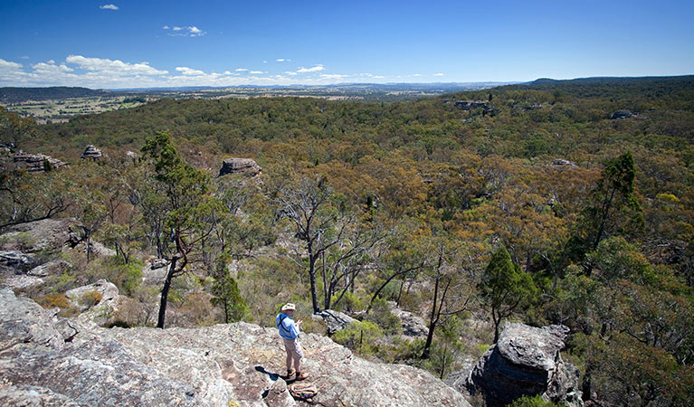 Views over the valley, Munghorn Gap Nature Reserve. Photo: Nick Cubbin