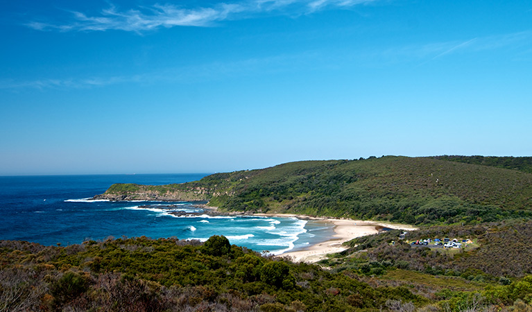 View of Frazer Beach, Munmorah State Conservation Area. Photo: John Spencer