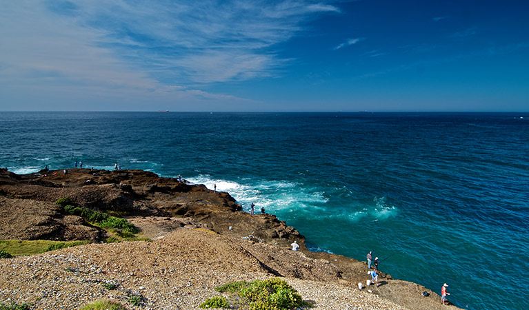 Snapper Head, Munmorah State Conservation Area. Photo: John Spencer