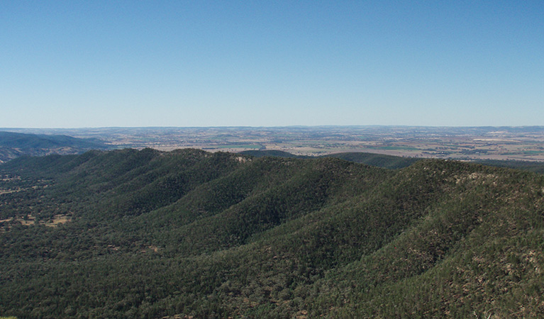 Nangar lookout, Nangar National Park. Photo: A Lavender