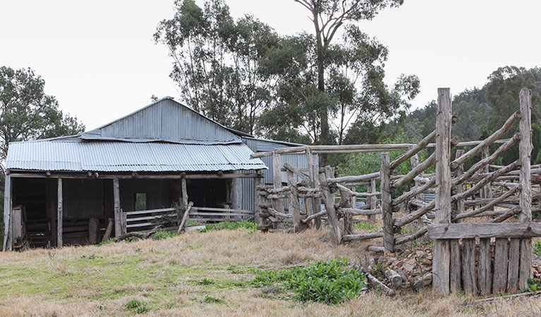 Dripping Rock shearing shed, Nangar National Park. Photo: OEH