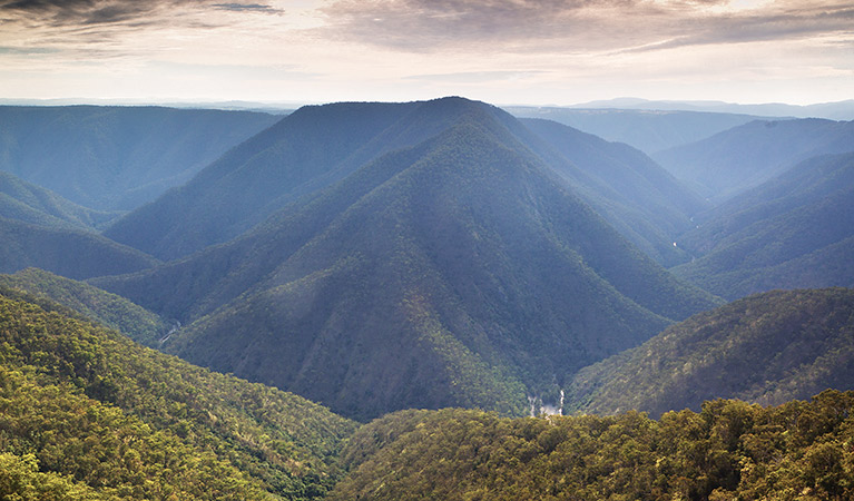 Chandler view circuit walk, Oxley Wild Rivers National Park. Photo: Rob Cleary