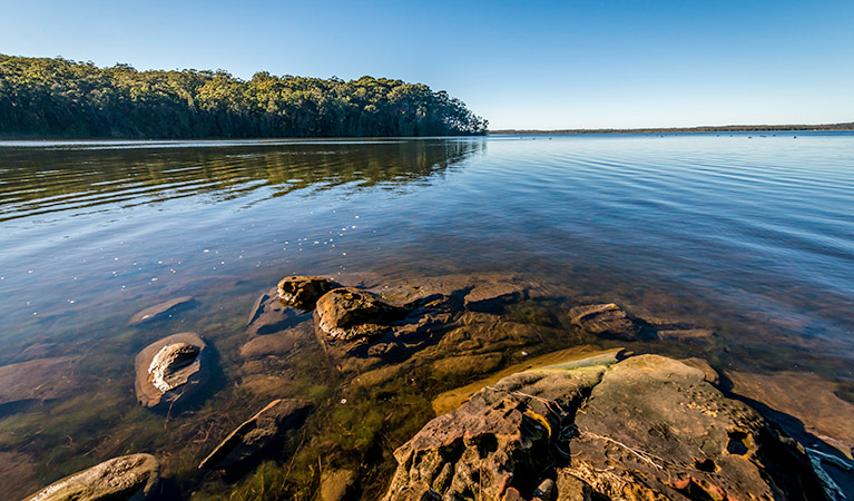 Queens Lake, Queens Lake Nature Reserve. Photo: John Spencer