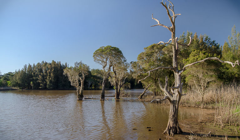 Wetlands, Scheyville National Park. Photo: John Spencer