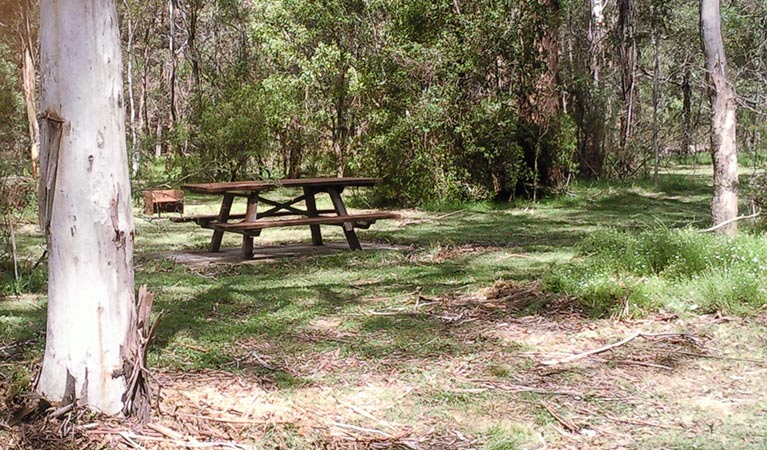 Picnic area, Tallaganda National Park. Photo: S Jackson