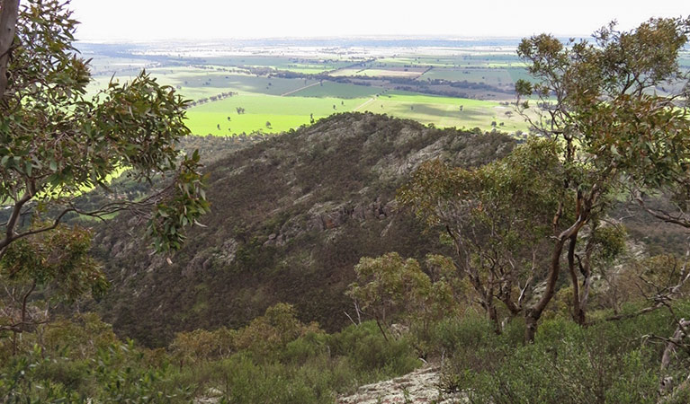The Rock lookout, The Rock Nature Reserve. Photo: A Lavender