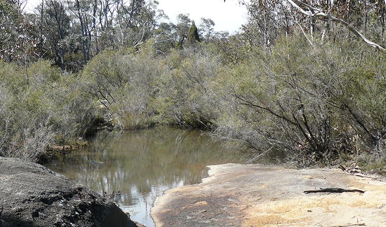 Water hole, Torrington State Conservation Area. Photo: OEH