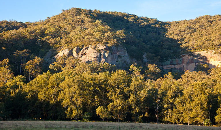 Mountains in Towarri National Park. Photo: Brent Mail