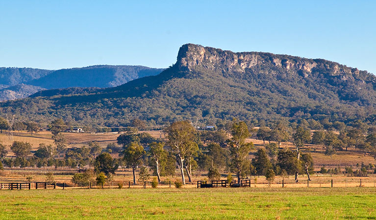Farm land and distant mountains, Towarri National Park. Photo: Brent Mail