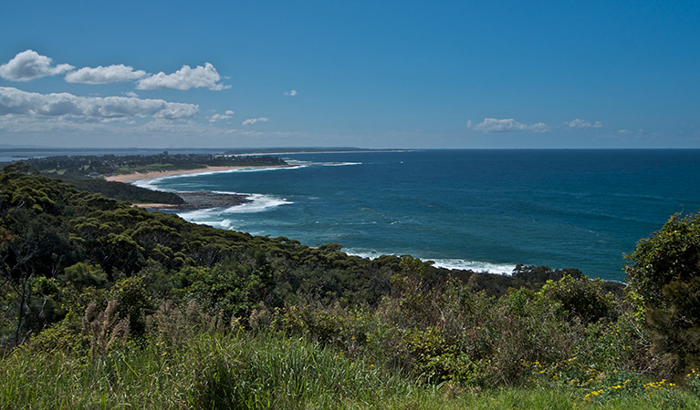 Crackneck lookout, Wyrrabalong National Park. Photo: John Spencer