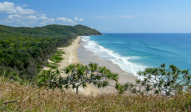 Beach and ocean coastline in Yarriabini National Park. Photo: Shane Ruming