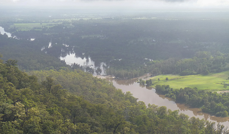 Coreena-Burrawang circuit, Yellomundee Regional Park. Photo: Paul Glass
