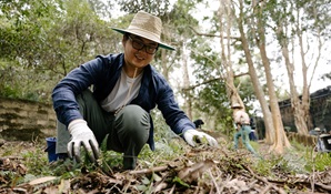Corporate volunteer program: Lane Cove