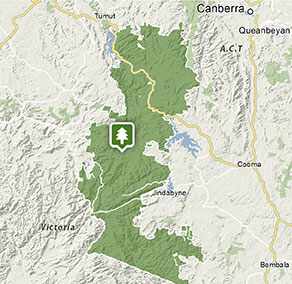Kosciuszko fly fishing trips and casting lessons