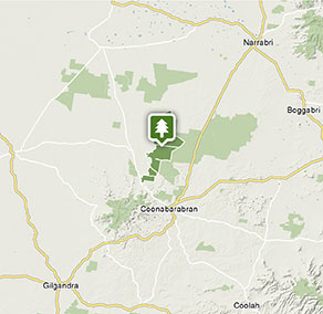 Timmallallie National Park