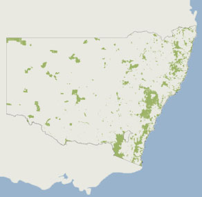 Dalmorton group campground
